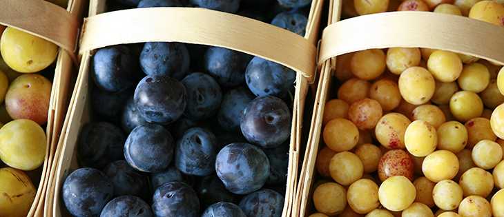 Farmers-Market