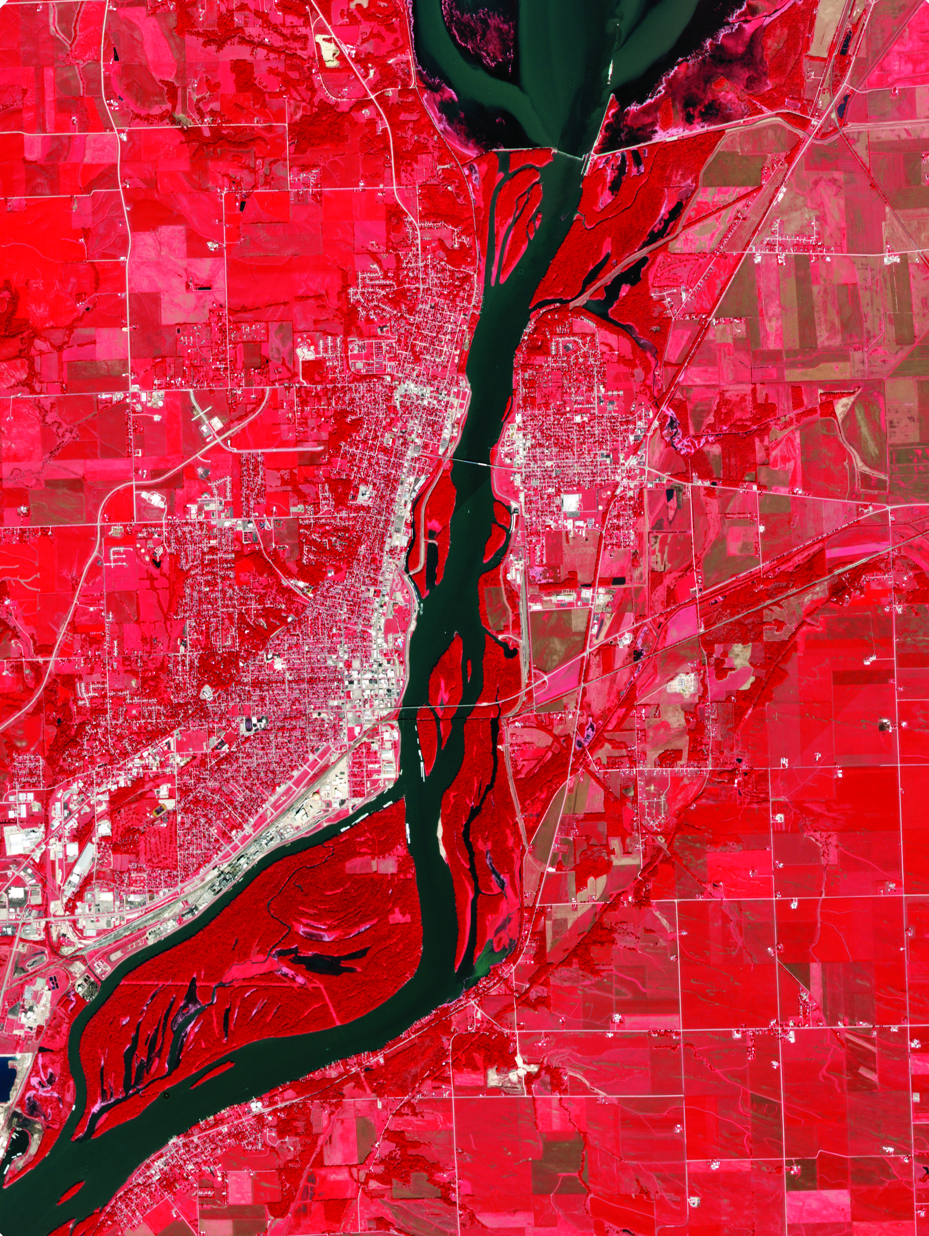 Near-infrared composite images that identify healthy vegetation in red