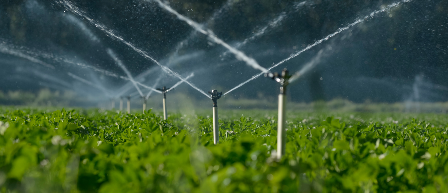 Irrigation