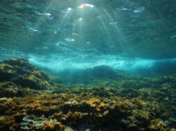 Underwater sunlight rocky seabed Mediterranean sea