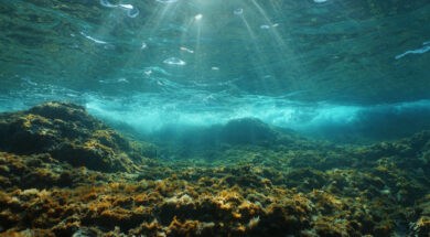 Underwater sunlight rocky seabed Mediterranean sea