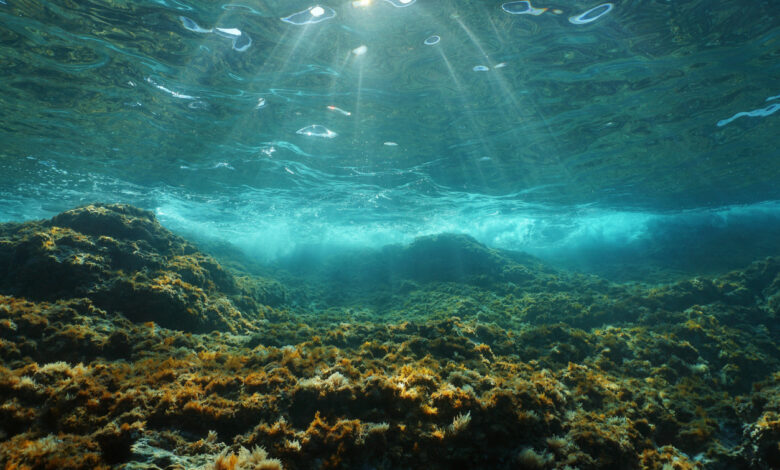 Underwater sunlight rocky seabed Mediterranean sea