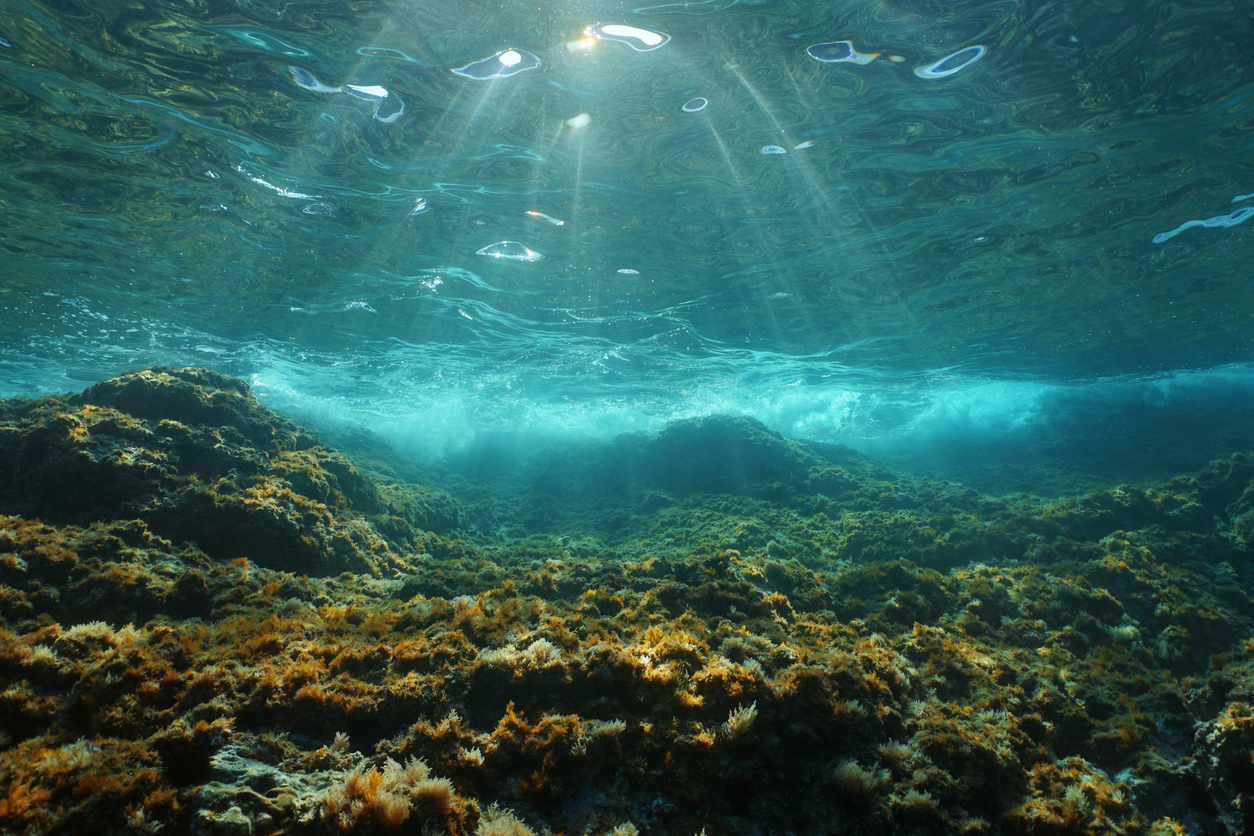 Underwater sunlight rocky seabed Mediterranean sea