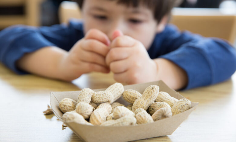 Little boy eating peanuts