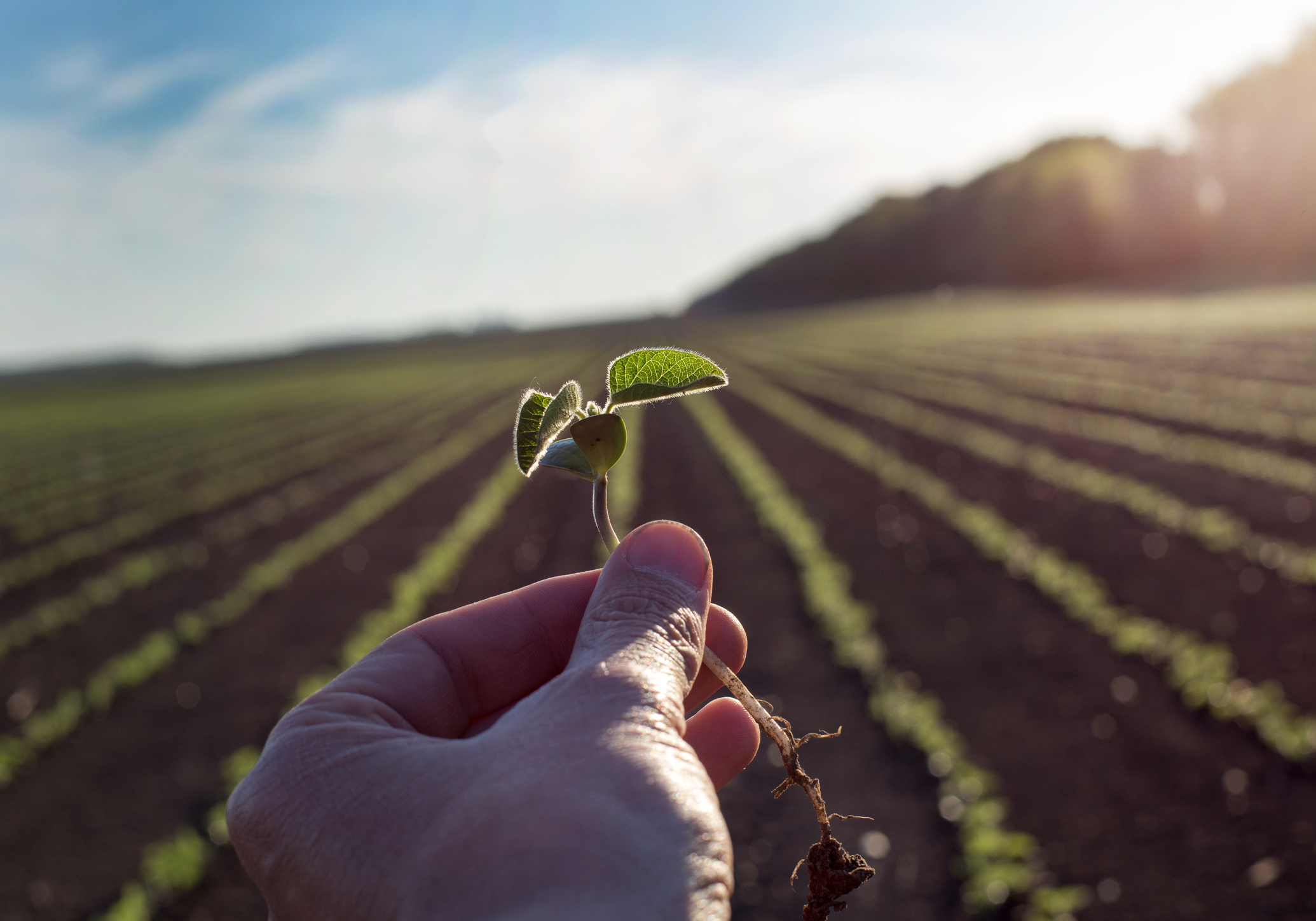Dealmaker Q&A: Baden Capital on Growing an Ag Acquisition
