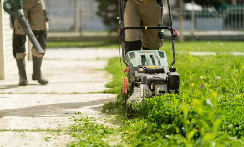 Two men are trimming grass: one is using a lawn mower, and the other one is using a blower to blow away the cut grass.
